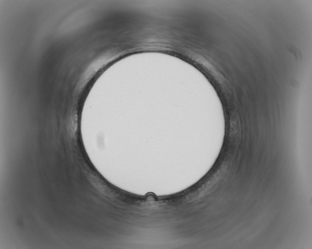 X0000114231461200911061518