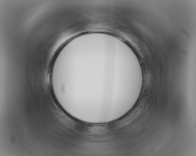 X0000114231462200911061518