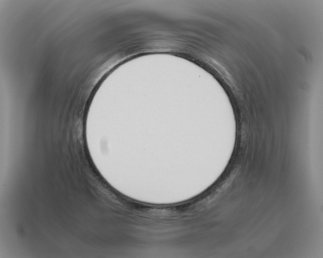 X0000114231465200911061518