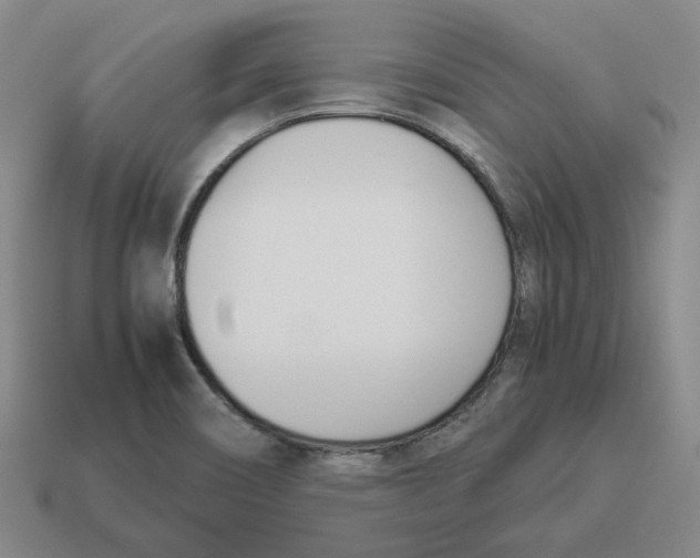 X0000114231466200911061518