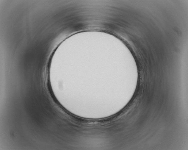 X0000114231467200911061518