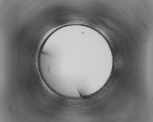 X0000114231468200911061518