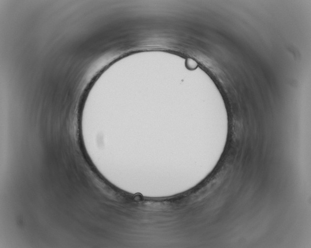 X0000114231469200911061518