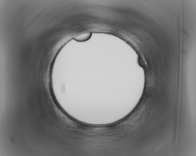 X0000114231471200911061518