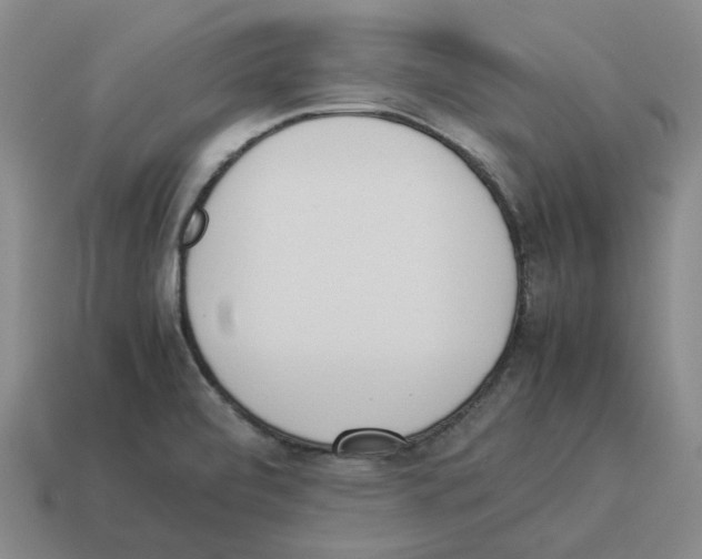 X0000114231472200911061518