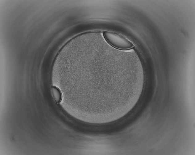 X0000114231473200911061518