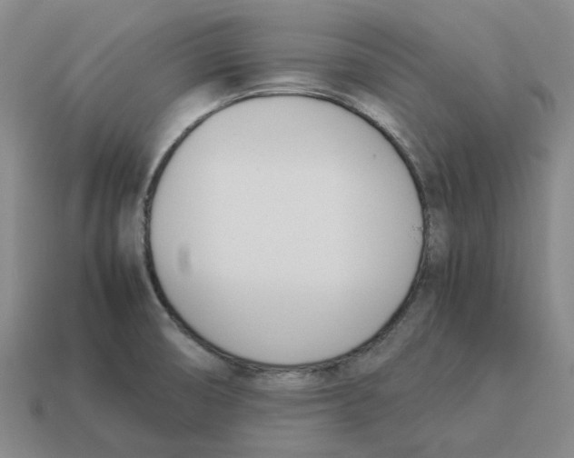 X0000114231474200911061518