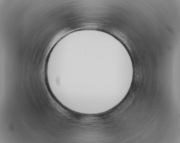 X0000114231475200911061518