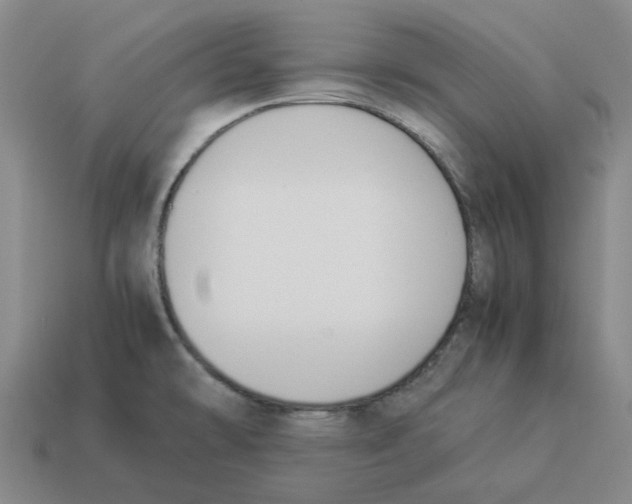 X0000114231478200911061518