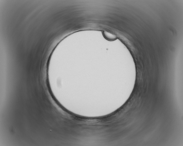 X0000114231479200911061518