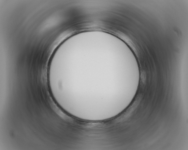 X0000114231482200911061518