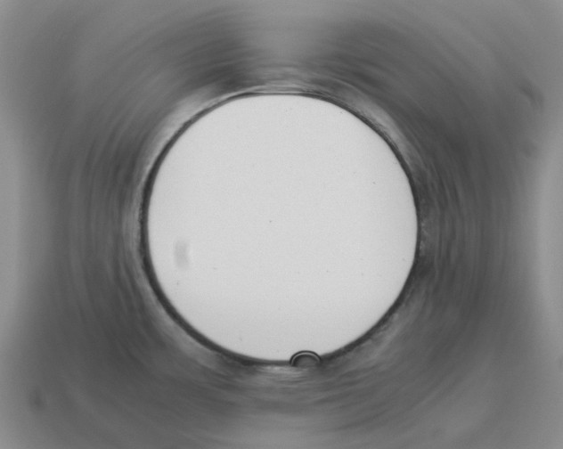 X0000114231483200911061518