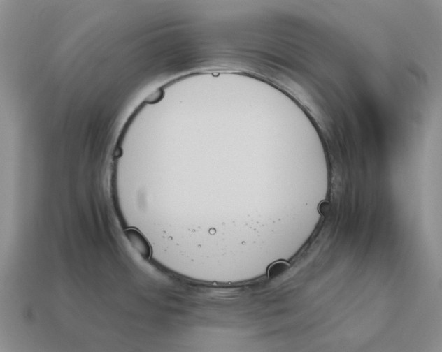 X0000114231484200911061518