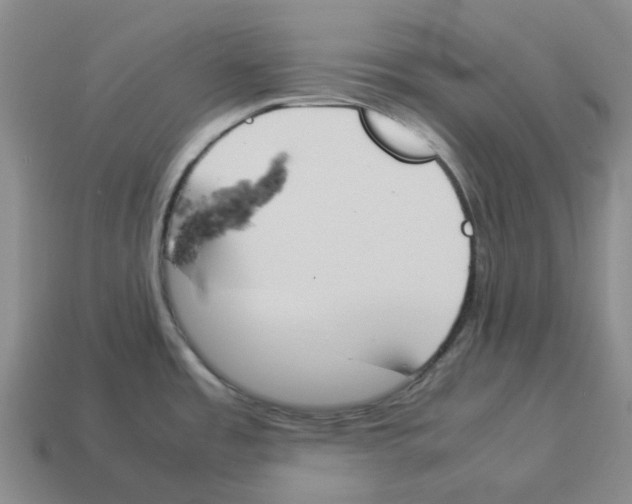 X0000114231485200911061518
