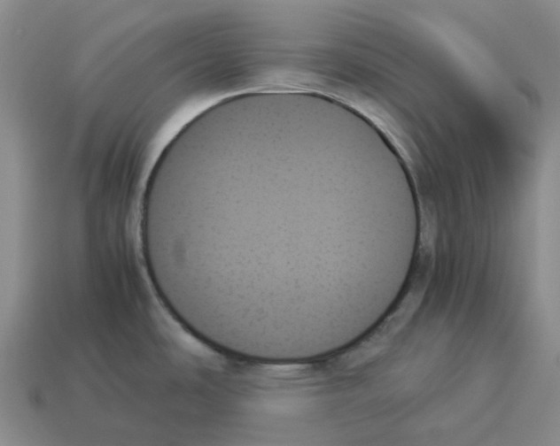 X0000114231486200911061518