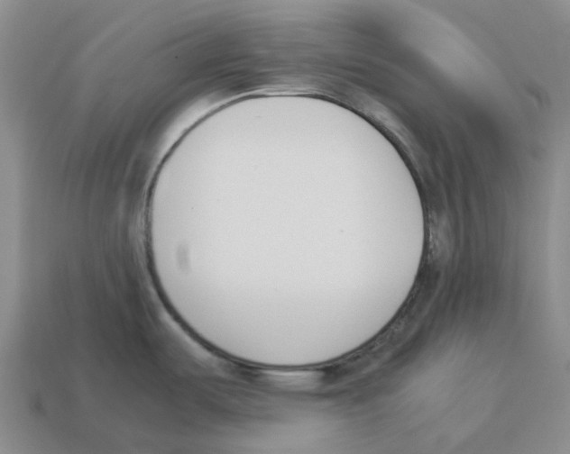 X0000114231487200911061518