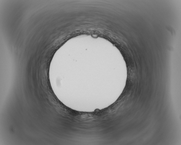 X0000114231489200911061517