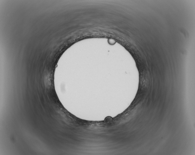 X0000114231490200911061517