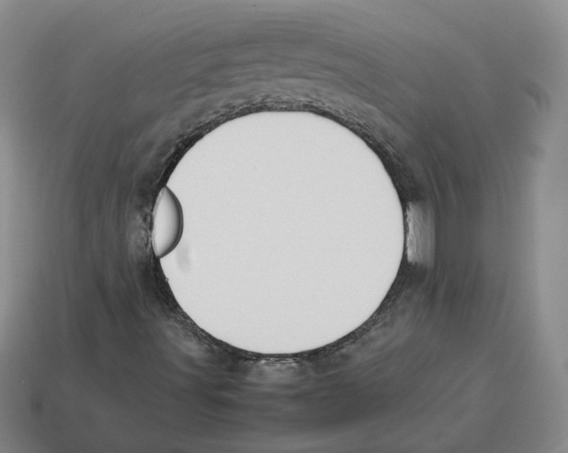 X0000114231491200911061517