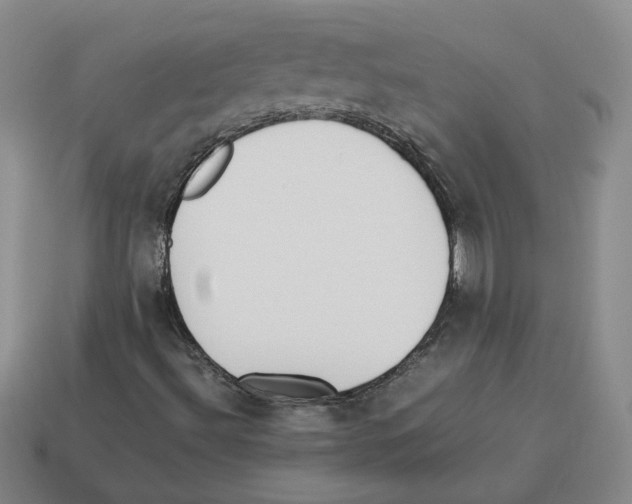 X0000114231492200911061517