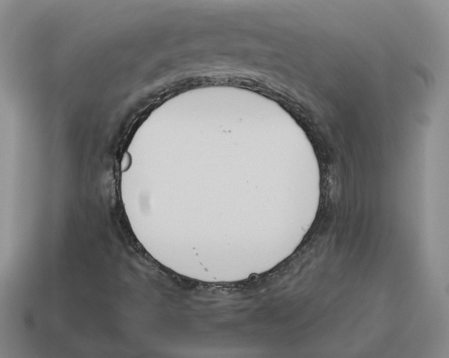 X0000114231493200911061517