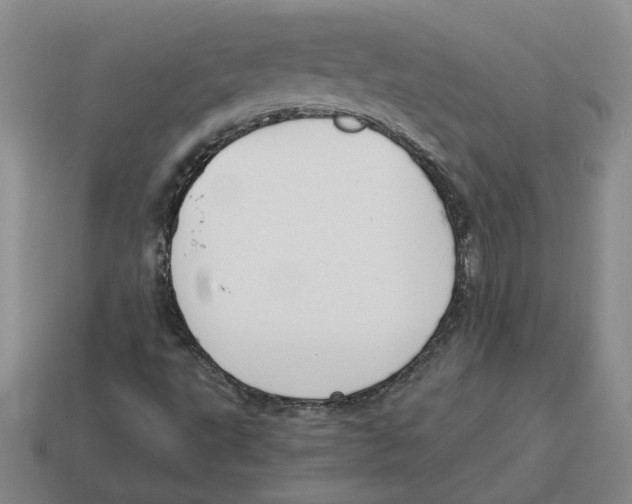 X0000114231495200911061517