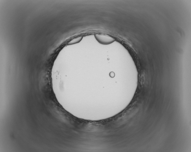 X0000114231496200911061517