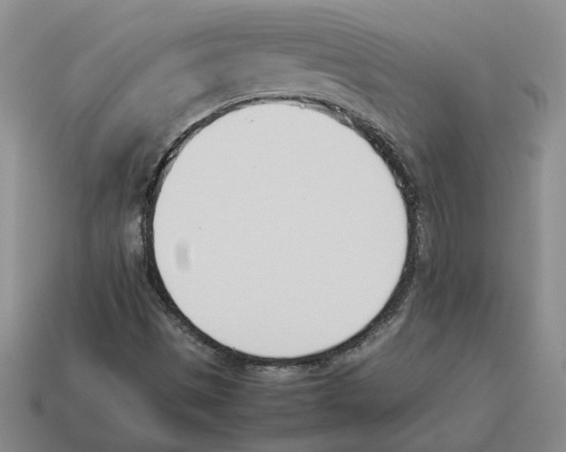 X0000114231497200911061517