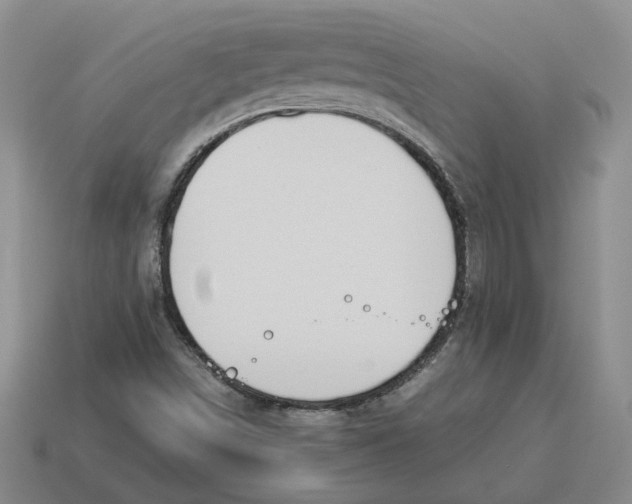 X0000114231498200911061517