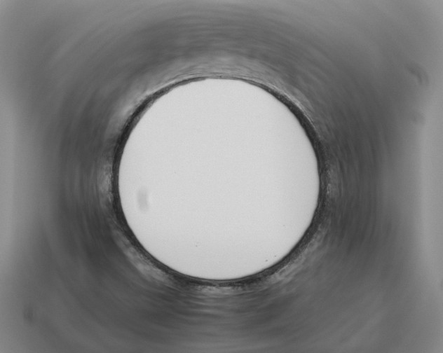 X0000114231499200911061517