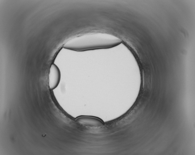 X0000114231500200911061517