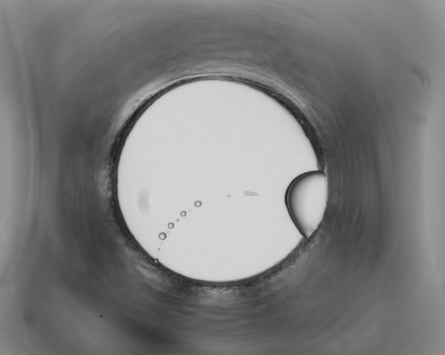 X0000114231501200911061517