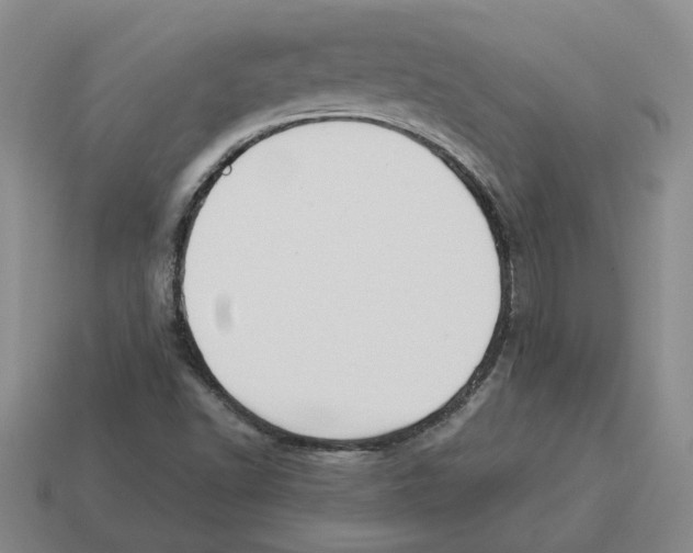 X0000114231502200911061517