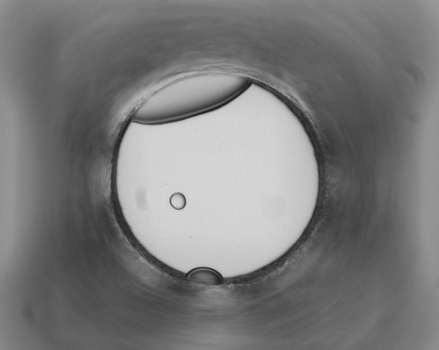 X0000114231504200911061517