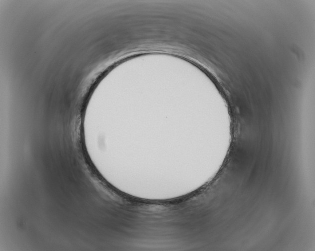 X0000114231507200911061517