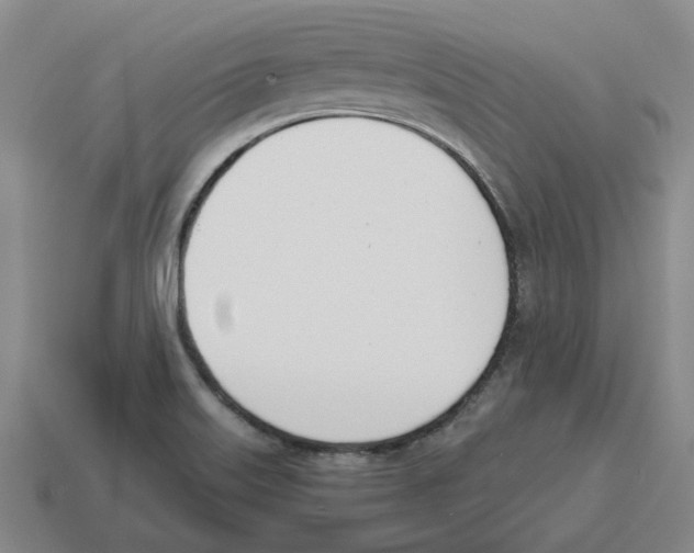 X0000114231515200911061517