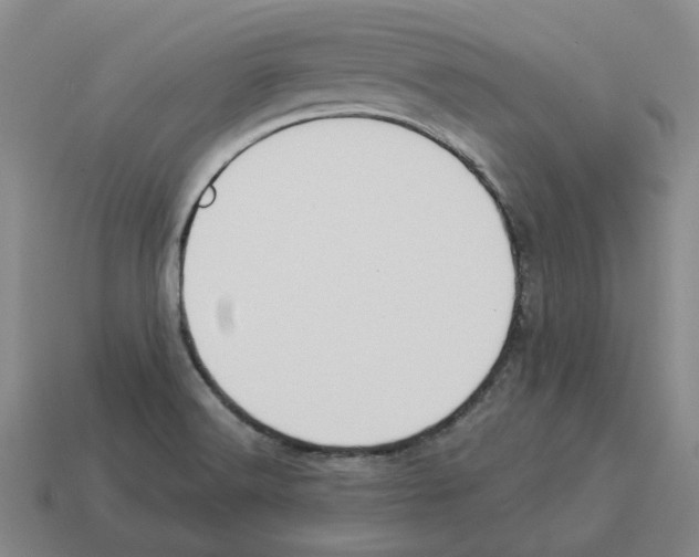 X0000114231516200911061517