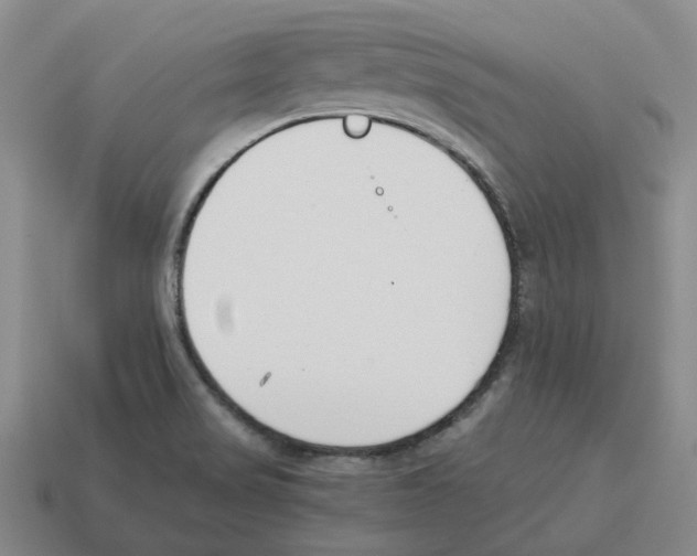 X0000114231517200911061517