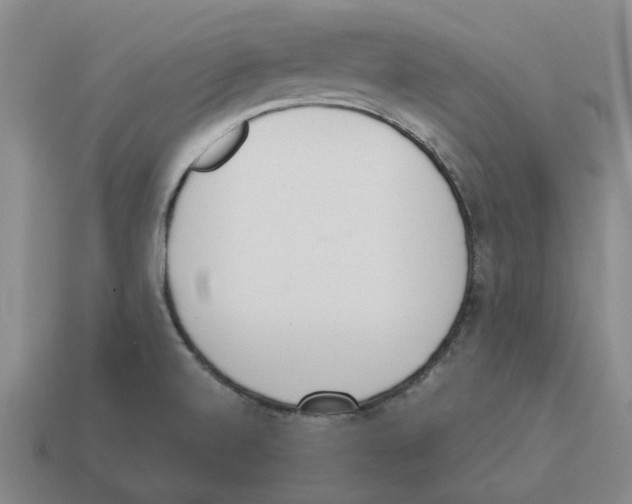 X0000114231520200911061517