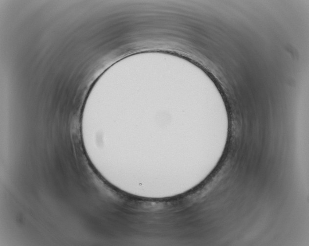 X0000114231521200911061517