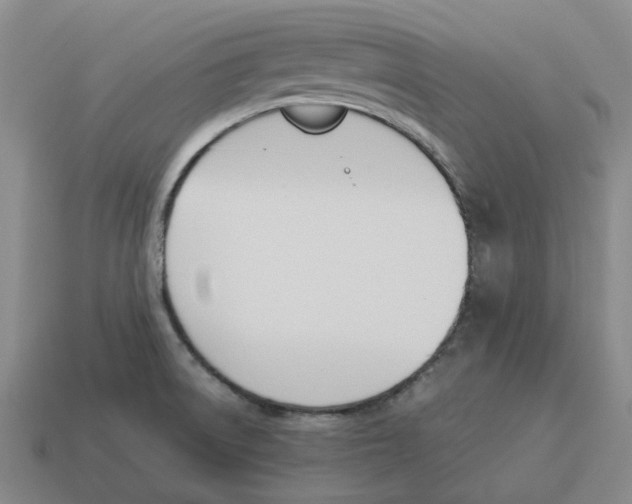 X0000114231522200911061517