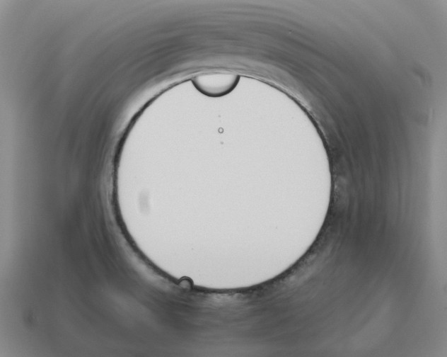 X0000114231523200911061517