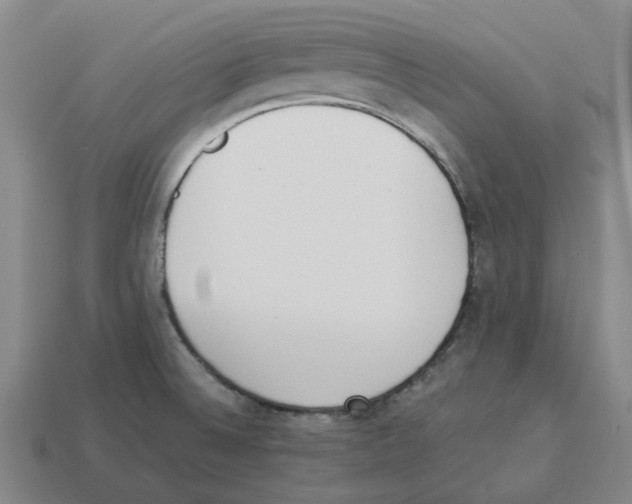 X0000114231524200911061517
