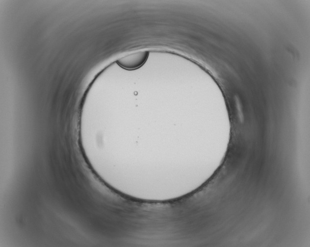 X0000114231526200911061518