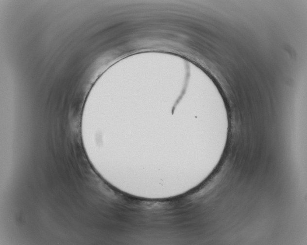 X0000114231529200911061518