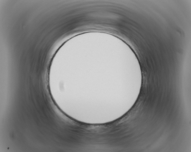 X0000114231531200911061518