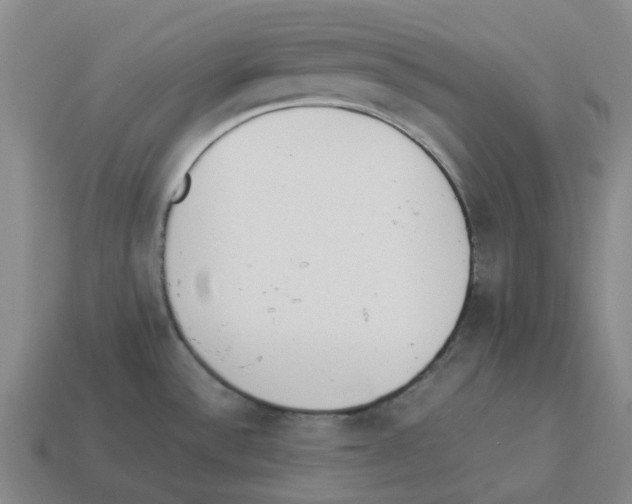 X0000114231532200911061518