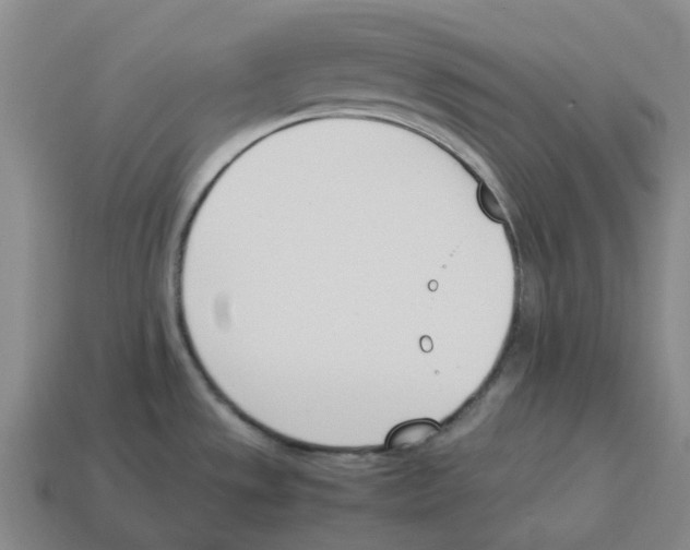 X0000114231533200911061518
