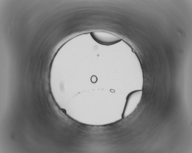 X0000114231534200911061518