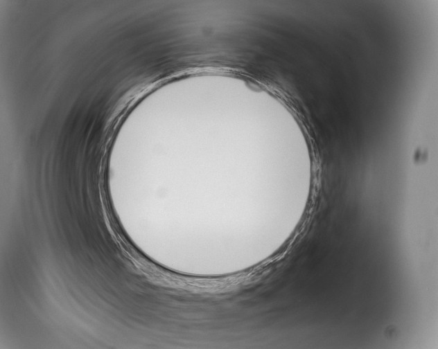 X0000114230001200911201121